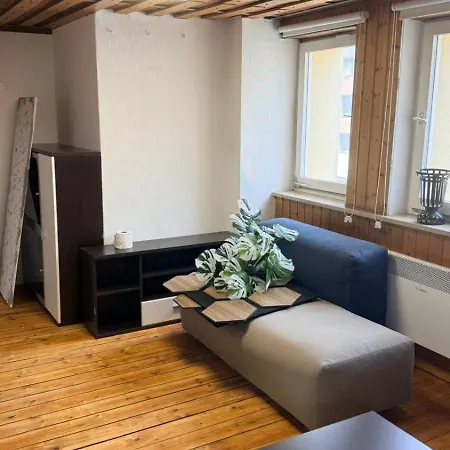Lejlighed Dachgeschosswohnung Nahe Altstadt & Messe *
