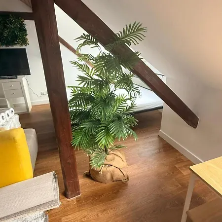 דירה Dachgeschosswohnung Nahe Altstadt & Messe *