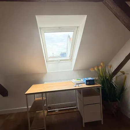 Dachgeschosswohnung Nahe Altstadt & Messe *
