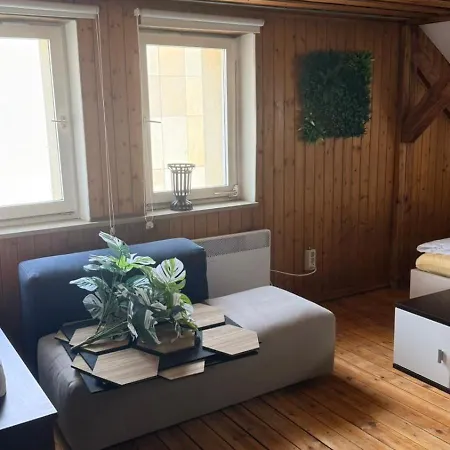 דירה Dachgeschosswohnung Nahe Altstadt & Messe